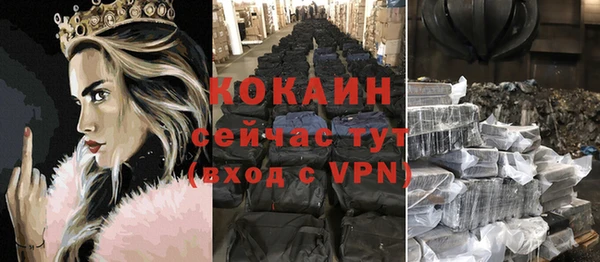 дживик Козловка