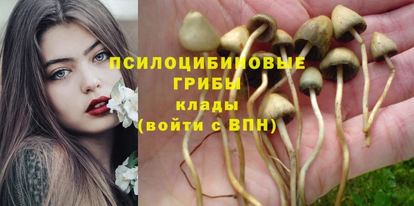 ECSTASY Кодинск
