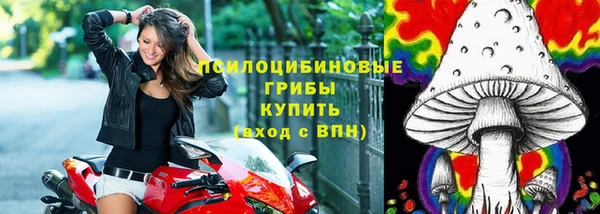 дживик Козловка