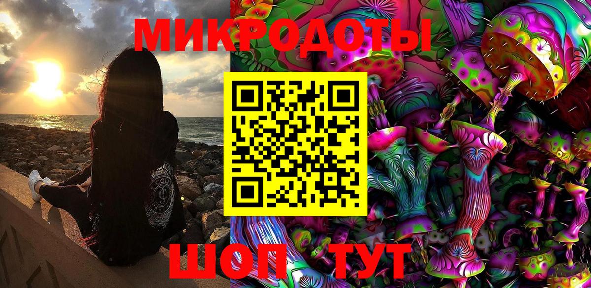 Галлюциногенные грибы Psilocybe Первоуральск