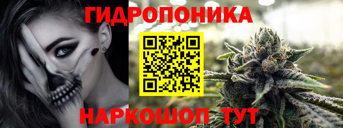 Бошки Шишки SATIVA & INDICA  Бошки марихуана Bruce Banner  Первоуральск  Марихуана AK-47  Вход с VPN  Конопля план 